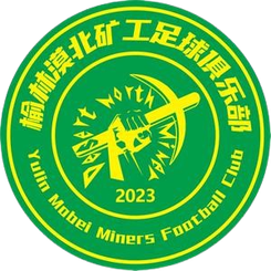 榆林漠北矿工